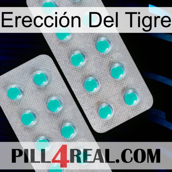 Erección Del Tigre 29.jpg